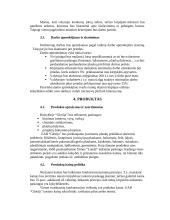 Strateginis planas: kirpykla UAB "Glorija" 6 puslapis