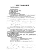 Strateginis planas: kirpykla UAB "Glorija" 9 puslapis