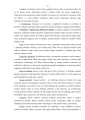 Strateginis planavimas ir jam įtaką darantys veiksniai 17 puslapis