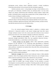 Strateginis planavimas ir jam įtaką darantys veiksniai 19 puslapis