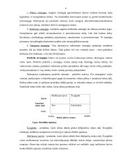 Strateginis planavimas ir jam įtaką darantys veiksniai 20 puslapis