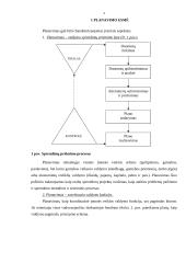 Strateginis planavimas ir jam įtaką darantys veiksniai 4 puslapis