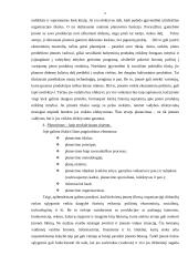 Strateginis planavimas ir jam įtaką darantys veiksniai 6 puslapis