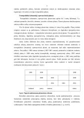 Strateginis planavimas ir jam įtaką darantys veiksniai 8 puslapis