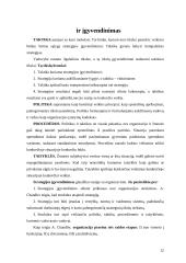 Strateginio planavimo esmė ir svarba 12 puslapis