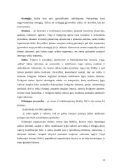 Strateginio planavimo esmė ir svarba 14 puslapis