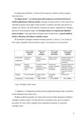 Strateginio planavimo esmė ir svarba 8 puslapis