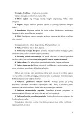 Strateginio planavimo esmė ir svarba 10 puslapis