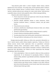 Įmonių strateginis valdymas 2 puslapis