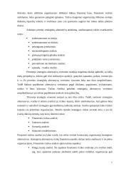 Įmonių strateginis valdymas 7 puslapis