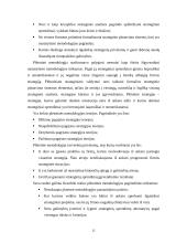 Strateginio valdymo esmė 11 puslapis