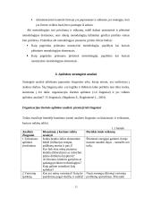 Strateginio valdymo esmė 12 puslapis