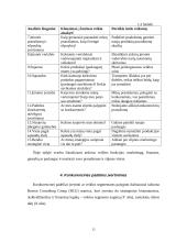 Strateginio valdymo esmė 14 puslapis