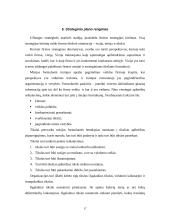 Strateginio valdymo esmė 16 puslapis