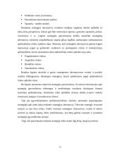 Strateginio valdymo esmė 19 puslapis