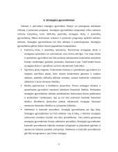 Strateginio valdymo esmė 20 puslapis