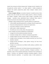 Strateginio valdymo esmė 4 puslapis