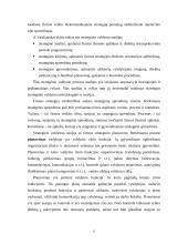 Strateginio valdymo esmė 5 puslapis