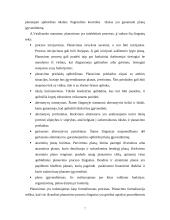 Strateginio valdymo esmė 6 puslapis