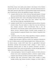 Strateginio valdymo esmė 8 puslapis