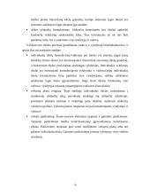 Strateginio valdymo esmė 9 puslapis