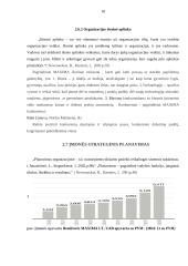 Strateginis valdymas: UAB "Maxima LT" 18 puslapis