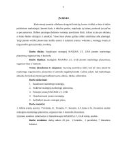 Strateginis valdymas: UAB "Maxima LT" 3 puslapis