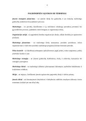 Strateginis valdymas: UAB "Maxima LT" 4 puslapis