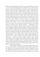 Strateginis valdymas: UAB "Maxima LT" 7 puslapis