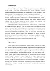 Stuburinių gyvūnų nervų sistemos evoliucija 5 puslapis