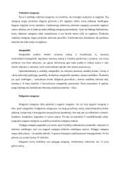 Stuburinių gyvūnų nervų sistemos evoliucija 6 puslapis