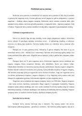 Stuburinių gyvūnų nervų sistemos evoliucija 7 puslapis