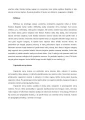 Stuburinių gyvūnų nervų sistemos evoliucija 8 puslapis