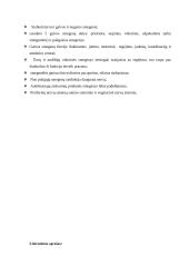 Stuburinių gyvūnų nervų sistemos evoliucija 10 puslapis