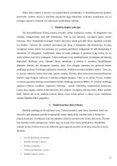 Studentų fizinis aktyvumas ir jo ryšys su fiziologinių rodiklių kitimu mokymosi metu 11 puslapis