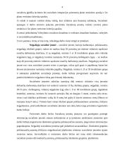 Subsidijos socialinėms įmonėms 3 puslapis