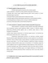 Subsidijos socialinėms įmonėms 6 puslapis