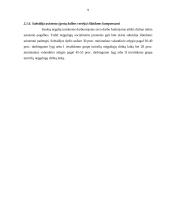 Subsidijos socialinėms įmonėms 8 puslapis