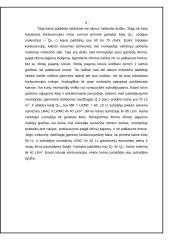 Subsidijų įtaka rinkos pusiausvyrai 2 puslapis