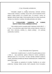 Subsidijų įtaka rinkos pusiausvyrai 3 puslapis