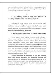 Subsidijų įtaka rinkos pusiausvyrai 7 puslapis