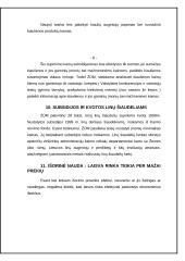 Subsidijų įtaka rinkos pusiausvyrai 8 puslapis