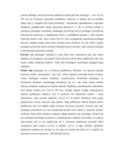 Surenkamosios monolitinės perdangos 4 puslapis