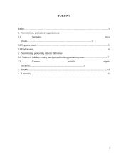 Susirinkimai, pasitarimai organizacijoje 2 puslapis