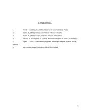 Susirinkimai, pasitarimai organizacijoje 11 puslapis