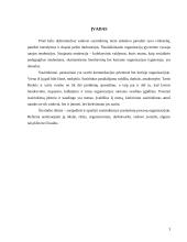 Susirinkimai, pasitarimai organizacijoje 3 puslapis