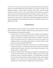 Susirinkimai, pasitarimai organizacijoje 5 puslapis