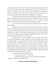 Susirinkimų organizavimas ir planavimas 9 puslapis