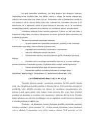 Susirinkimų organizavimas ir planavimas 10 puslapis