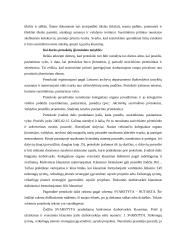 Susirinkimų organizavimas ir planavimas 11 puslapis